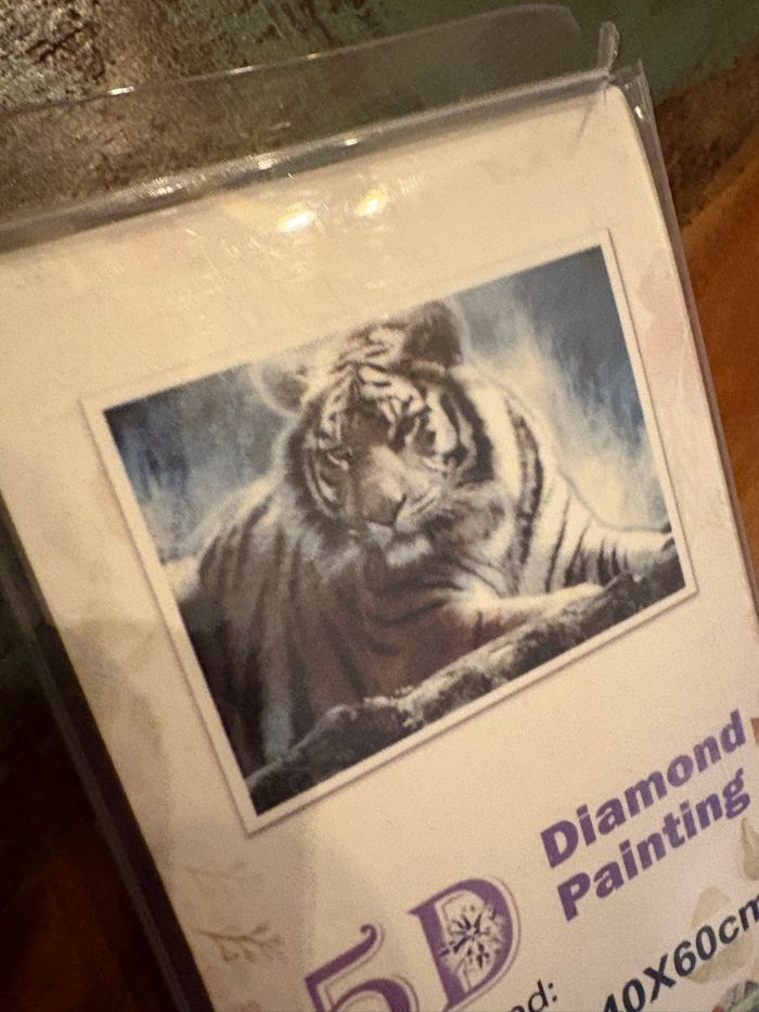 Diamond painting toile complète 40x60cm - photo numéro 2