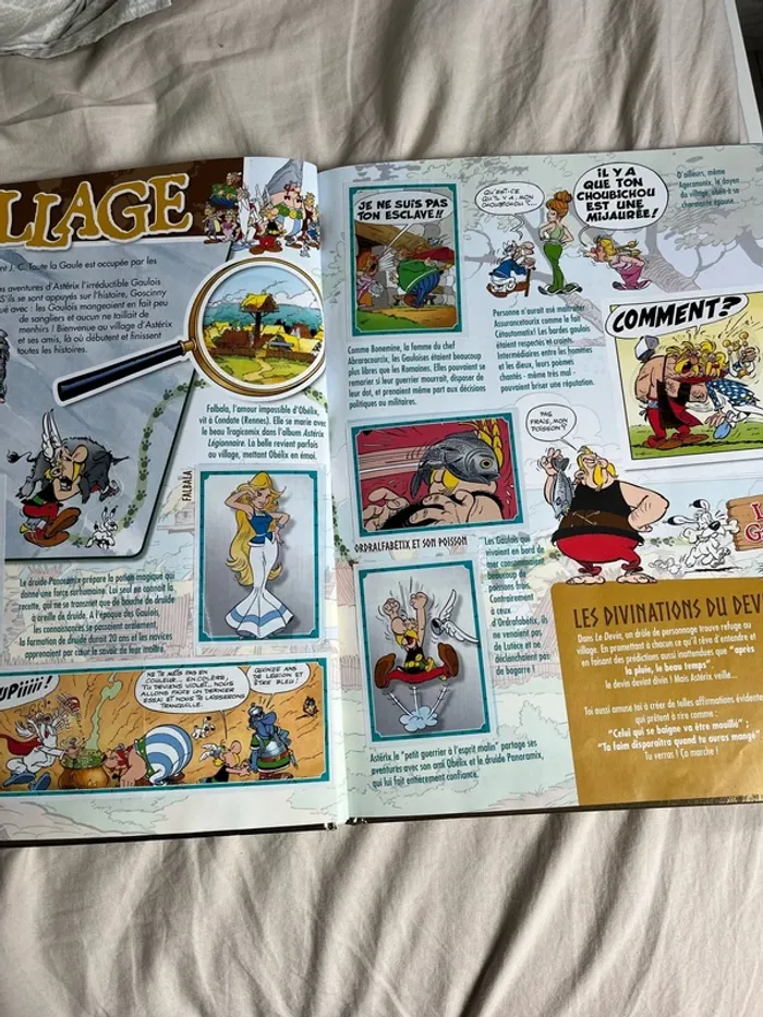 Livret 60 ans d’aventure Astérix - photo numéro 13