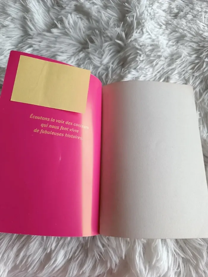 Livre L'épopée de Gilgamesh en 8 récits _ dès 11 ans _ Flammarion Jeunesse _ Jean Muzi - photo numéro 2