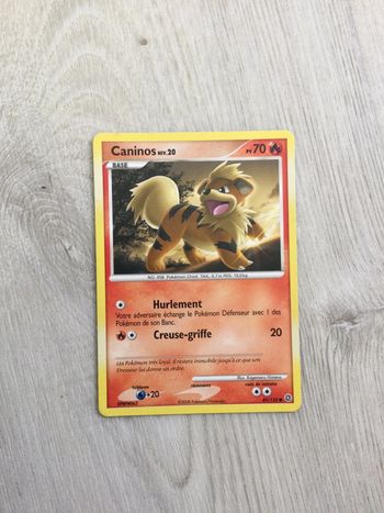 Carte pokemon caninos