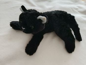 🌸 Peluche - Chat 🌸