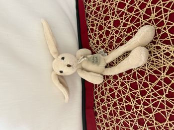 Histoire d'Ours Peluche Sweety Lapin