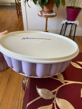 Moule à charlotte Tupperware