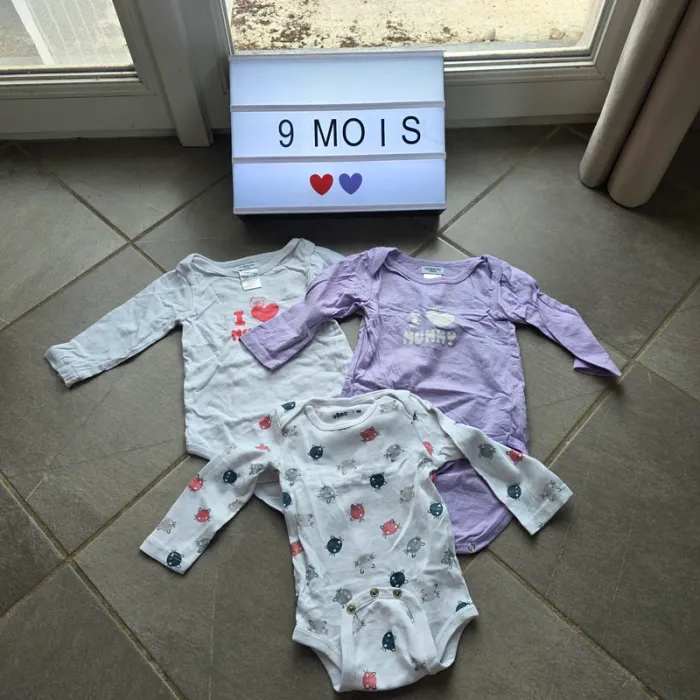 Lot vêtements 9 et 12 mois - photo numéro 9