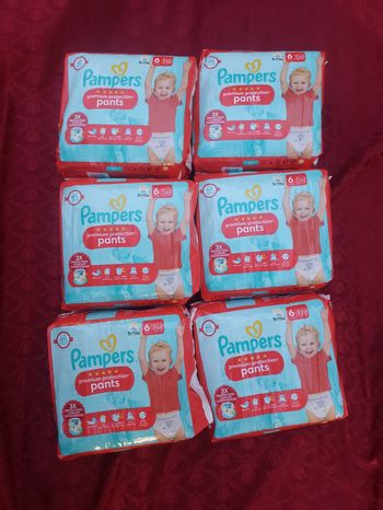 Lot de six paquets couches Pampers pants premium protection T6 taille 6