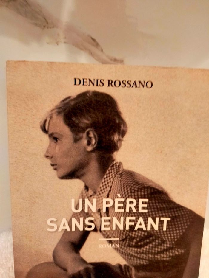 Roman un père sans enfant Dennis Rossano édition Allary - photo numéro 2