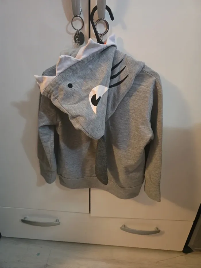 Sweat capuche - photo numéro 2