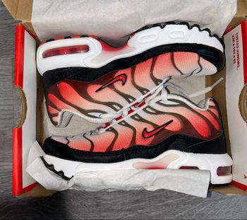 Nike air Max plus