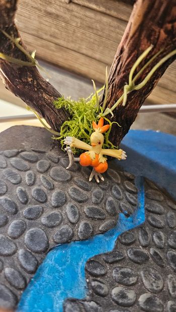 Super petite figurine Pokemon Nintendo galifeu