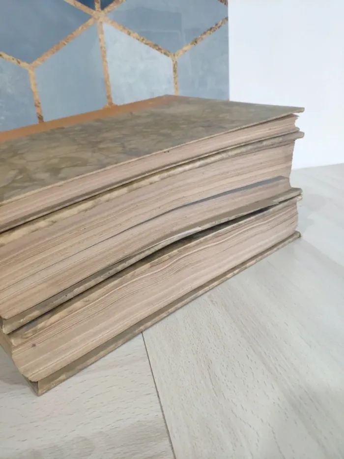 Lot de 3 livres histoire Louvre peinture au musée tome 1 et 2 écoles étrangères Illustration - photo numéro 4