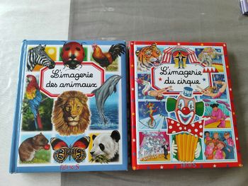 Lot livres grande section de maternelle