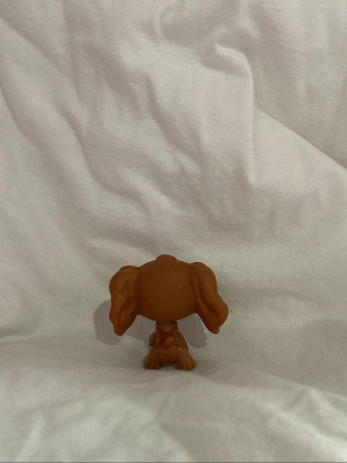 lps cocker - photo numéro 3