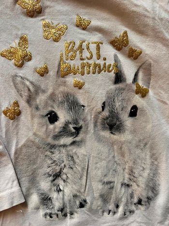 T-shirt lapin et papillon H&M taille 4-6 ans