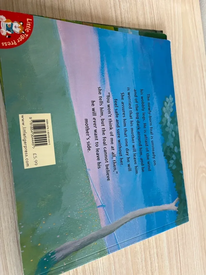 Lot de 5 livres pour enfants - Little Tiger Press en anglais - photo numéro 8