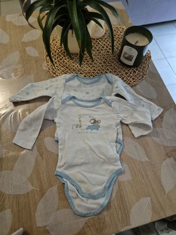 Boddy 6 mois 7 boddys