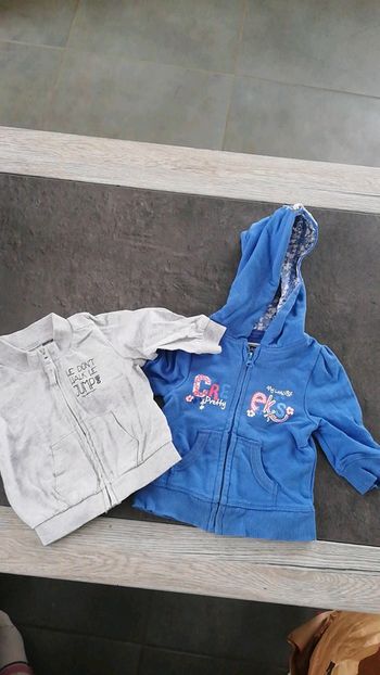 Lot de 2 gilets zippés