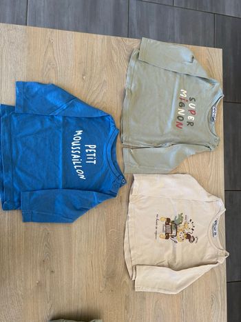 Lot de 3 tee-shirts manches longues garçon en 18 mois 