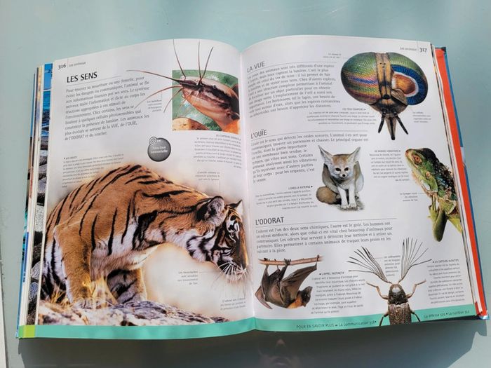 Grosse encyclopédie Sciences 🔬 et technologies 💻 Les Yeux de la Découverte, Gallimard Jeunesse - photo numéro 17