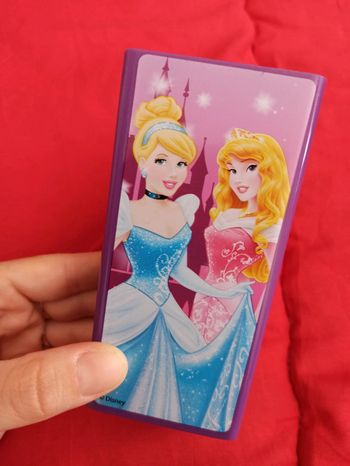 Pot à crayon princesses