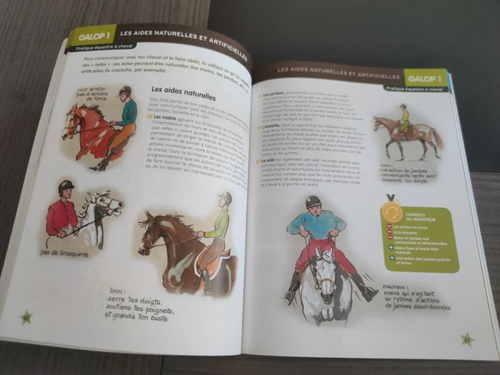 Galops 1 et 2 - photo numéro 3