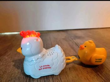 Cocotte  et son poussin