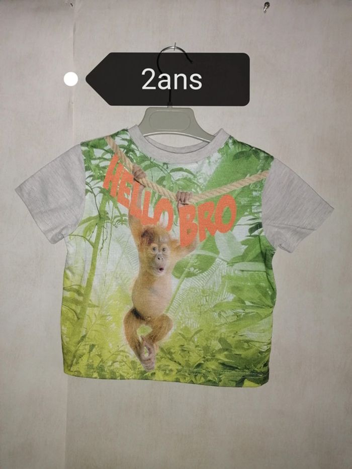 Tee-shirt singe, Influx 2ans