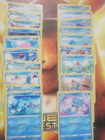 Lot cartes pokemon
