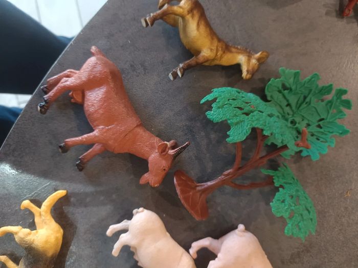 Lot animaux - photo numéro 3