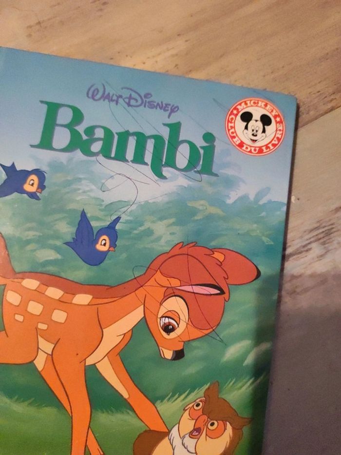 Livre Walt Disney - photo numéro 2