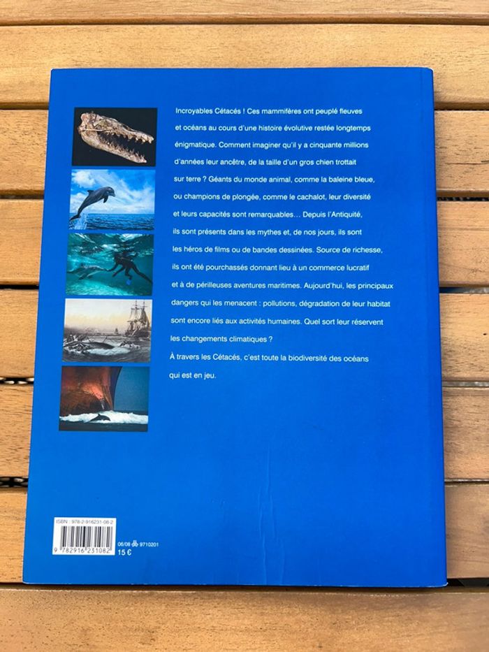Livre incroyable cétacés - photo numéro 2