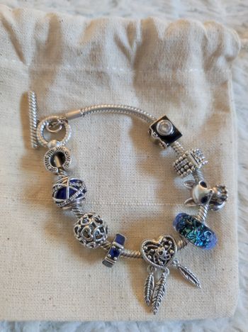 Bracelet Pandora avec charms + kit de nettoyage 