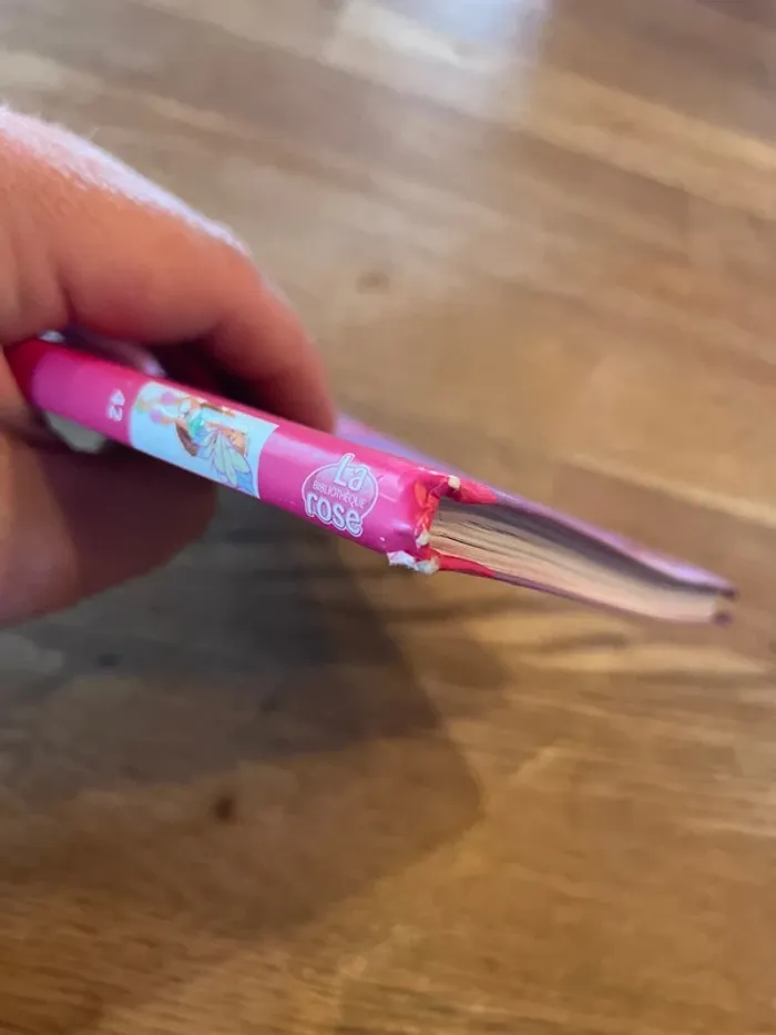 Livre La bibliothèque Rose Winx Club Numéro 42 La vengeance de la nature - photo numéro 9