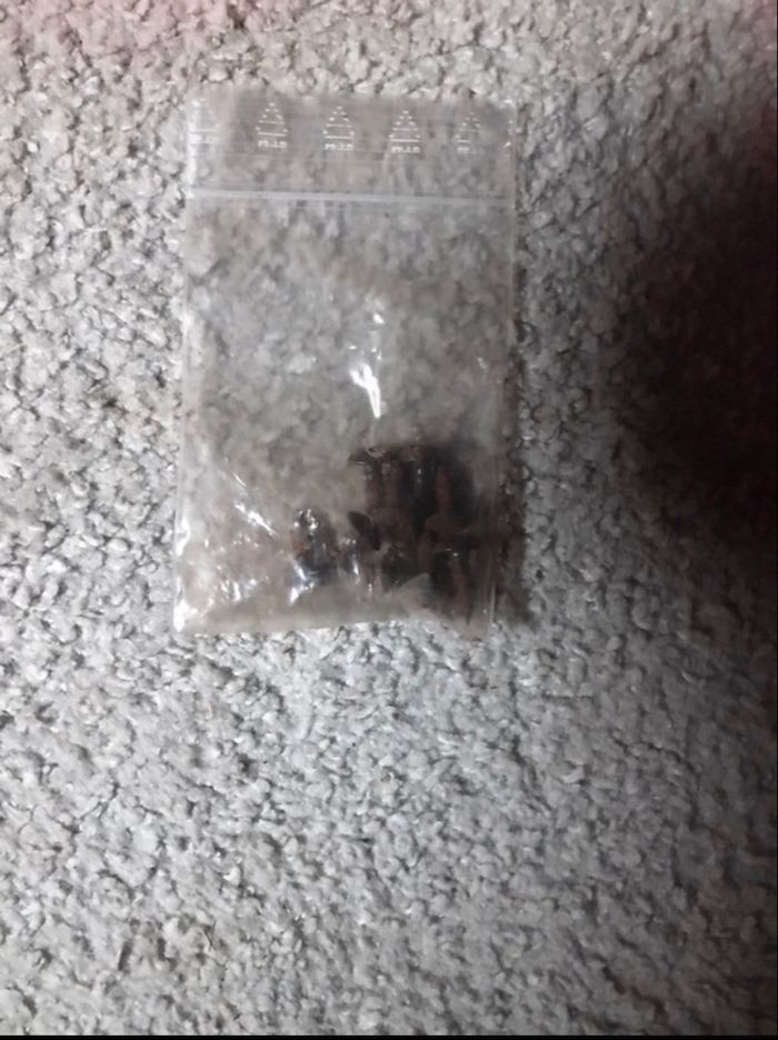 Lot de protections pour skateboard - photo numéro 4