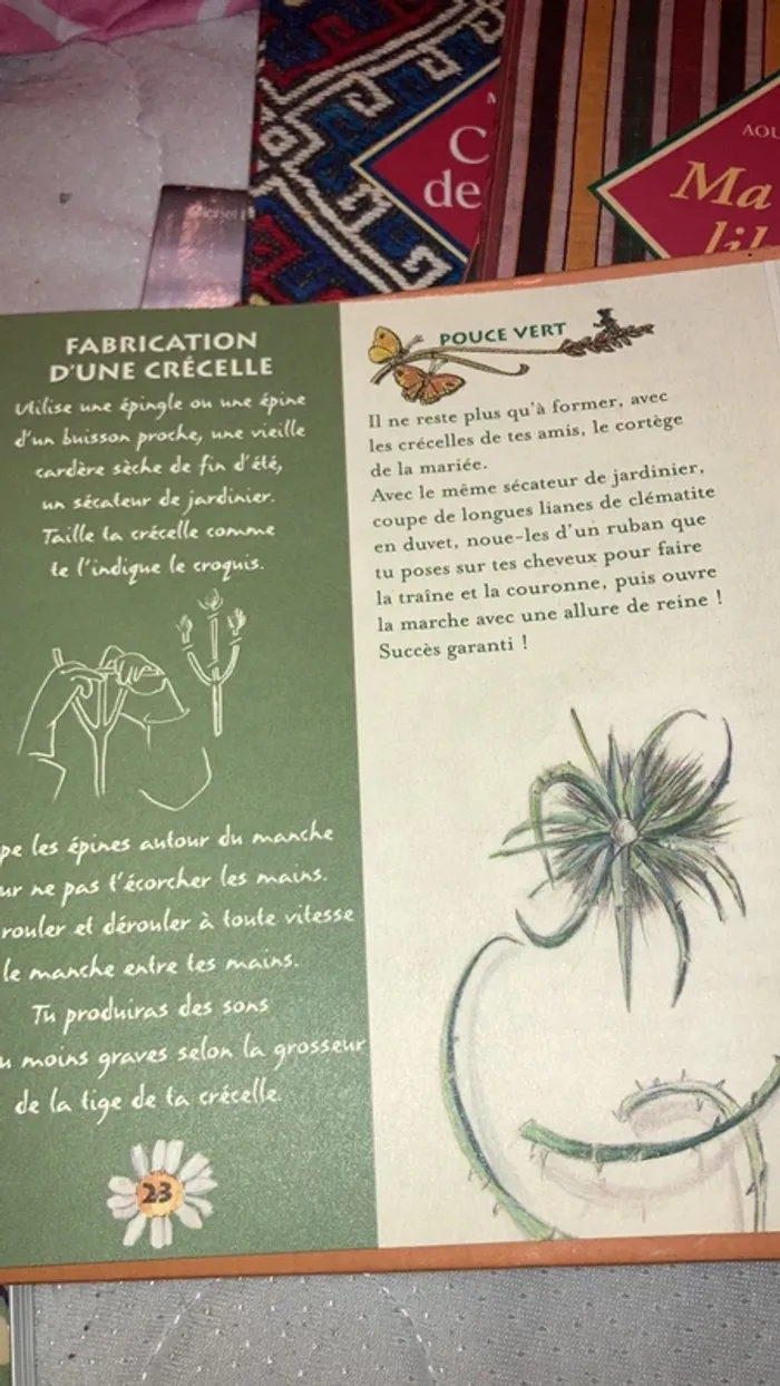 Jardin sauvage - photo numéro 6