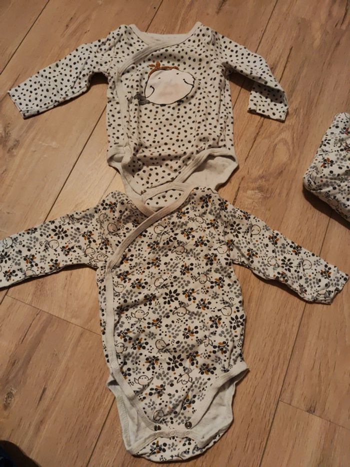 Ensemble DPAM oiseau - photo numéro 6