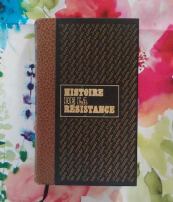Histoire de la résistance Mes camarades sont morts T2 Le contre-espionnage