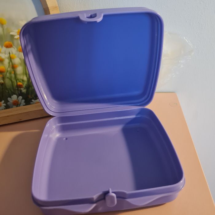 Cuadrilunch Princesse Sarah Tupperware - photo numéro 4