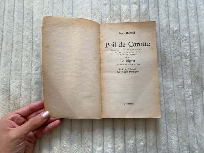Poil de carotte Jules Renard - photo numéro 3