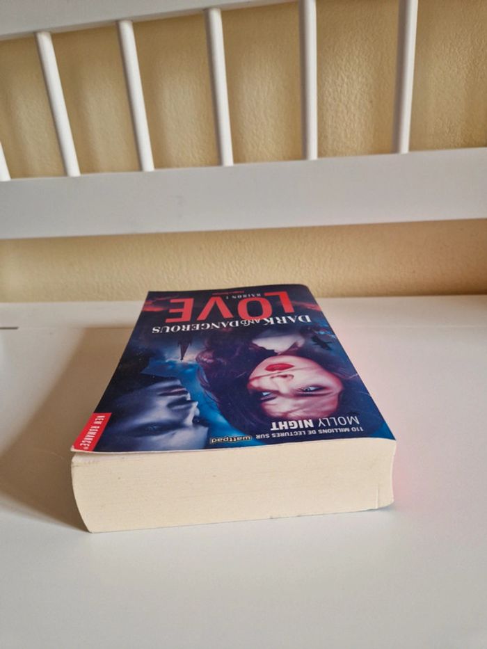 Livre romance fantastique - photo numéro 6