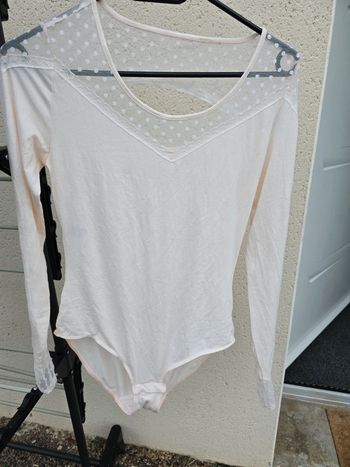 Bodie rouge gorge