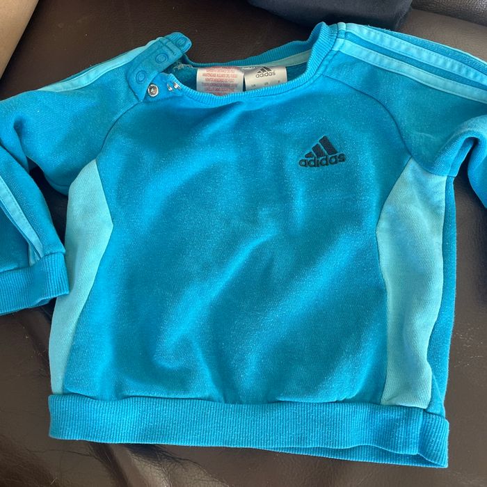 Pull puma