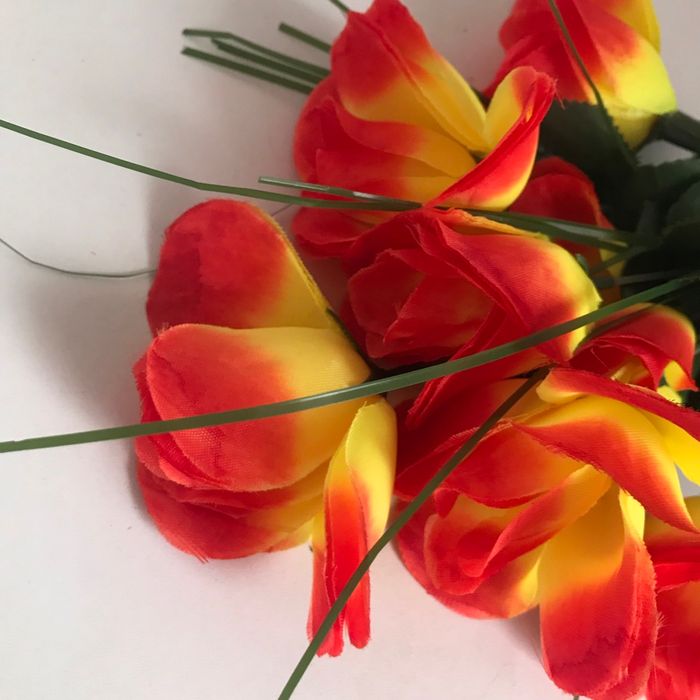 Fleurs - photo numéro 4