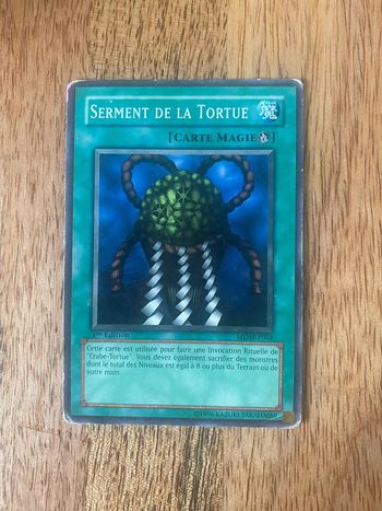 Carte Yu-Gi-Oh! Serment de la tortue MDM-F066 1ère édition