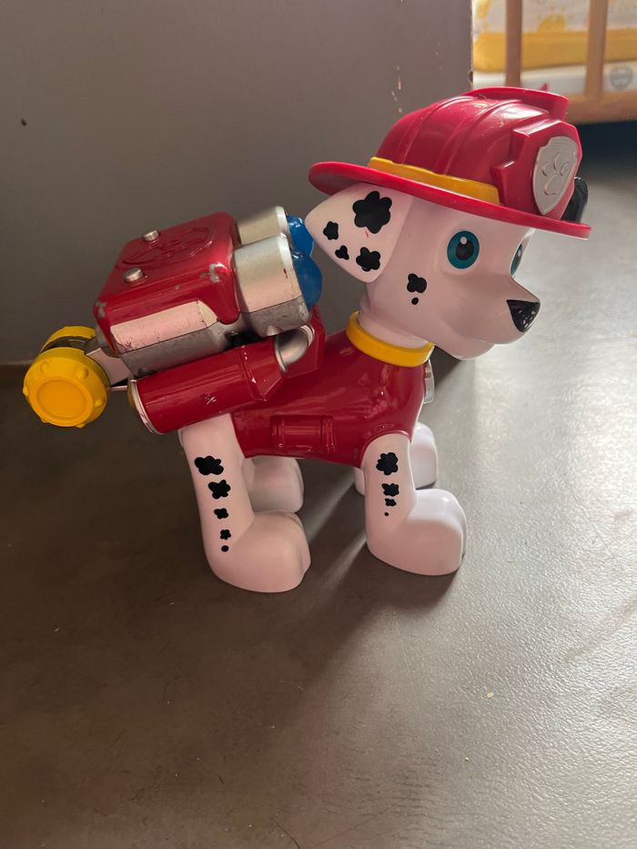 Marcus pat patrouille - photo numéro 2