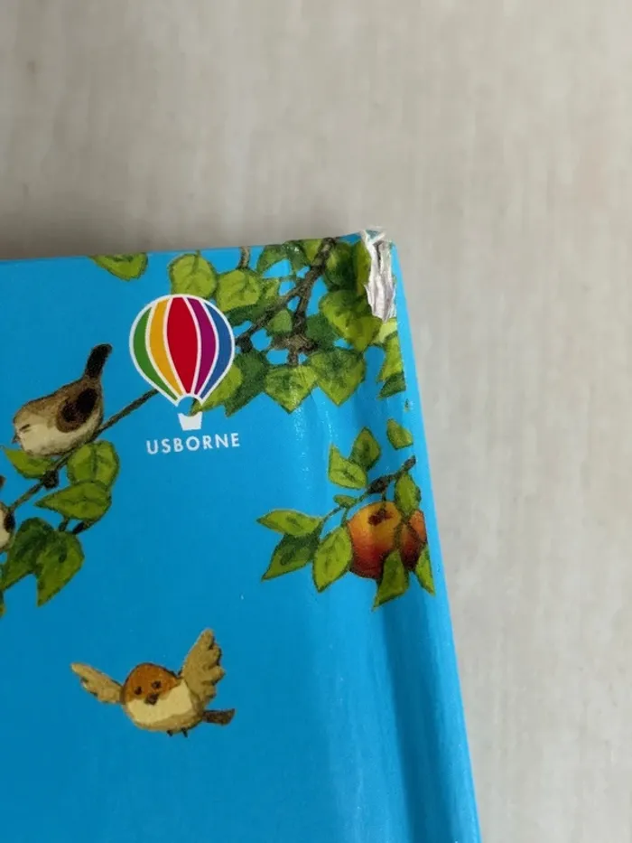 Cache-cache animaux - photo numéro 4