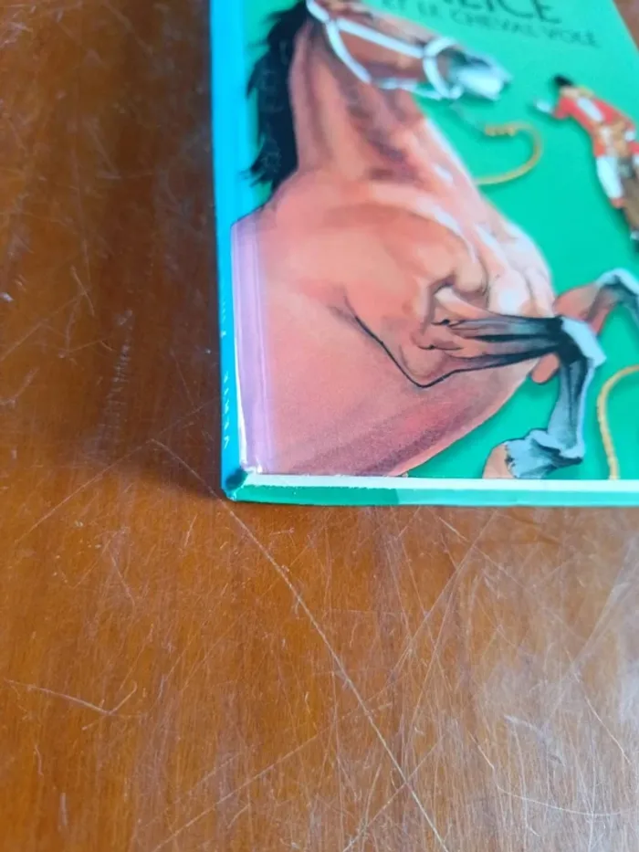 Livre : Alice et le cheval volé - photo numéro 4