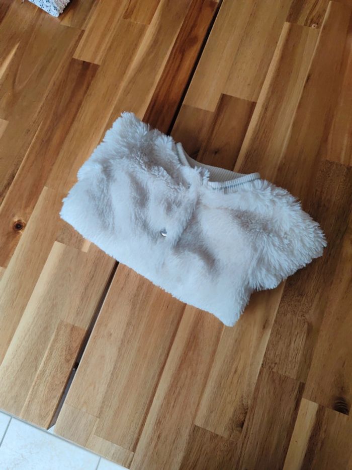 Veste - photo numéro 2