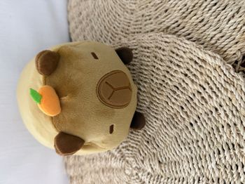 Mewaii Peluche Capybara Kawaii