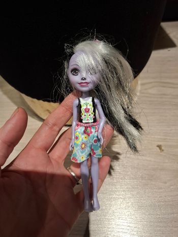 Poupee enchantimals