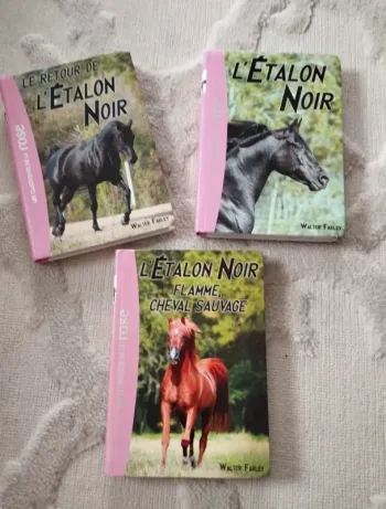 Lot de 3 livres l’étalon noir de la bibliothèque rose en très bon état